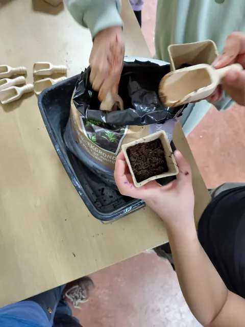 Twee handen scheppen met een houten spatel aarde in kleine
                              plantenpotjes.